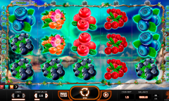 Winterberries